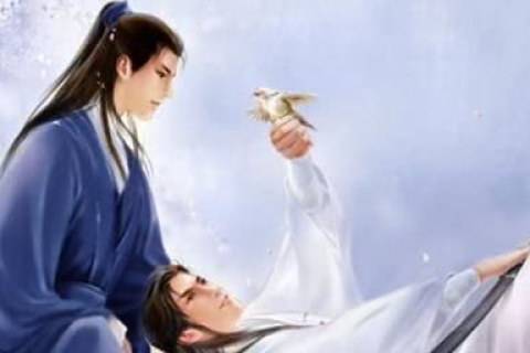 周公解梦梦见虾，探寻梦境中的神秘寓意