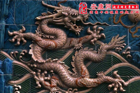 梦境探秘，梦见龙鳞铠甲般的粗壮大黑蛇
