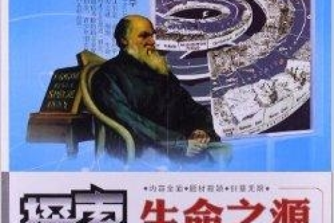高人解梦，探索梦境深处的奥秘，感谢梦境的启示