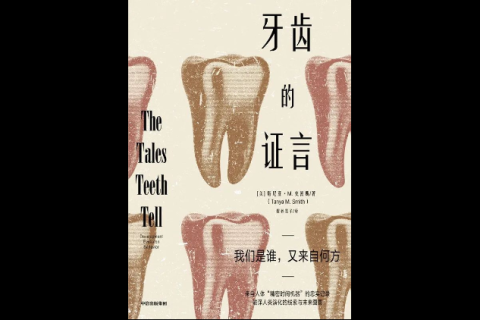 解读梦境，牙齿松动与年龄焦虑的深层含义