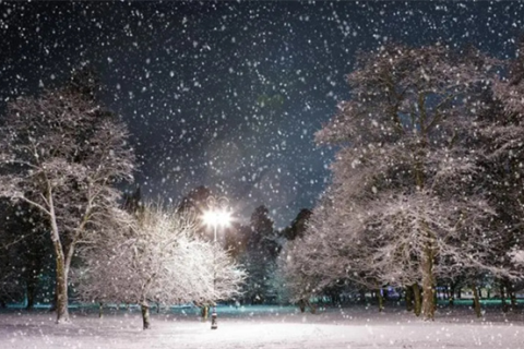 梦见下雪，预兆着希望与转变的来临
