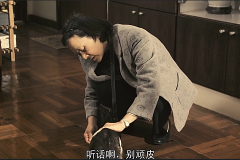梦到假牙掉，揭示内心焦虑与变化的预兆