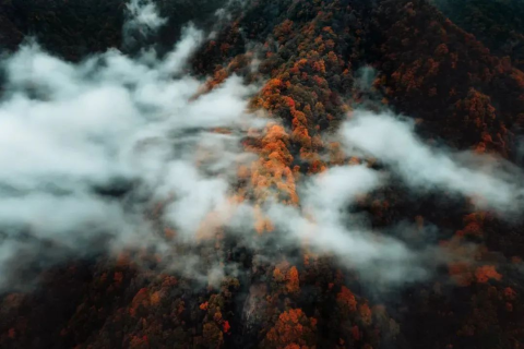 梦到自己飞到云层上去了后来还到处飞，探索飞翔梦境的深层含义与心理解析