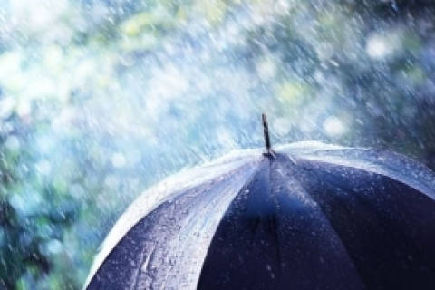 梦见下雨被淋湿突然有人帮我撑伞我看见很大一把伞，解读梦境中的温情与庇护