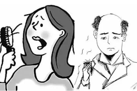 梦见洗头一大撮掉头发，解读梦境中的焦虑与自我审视