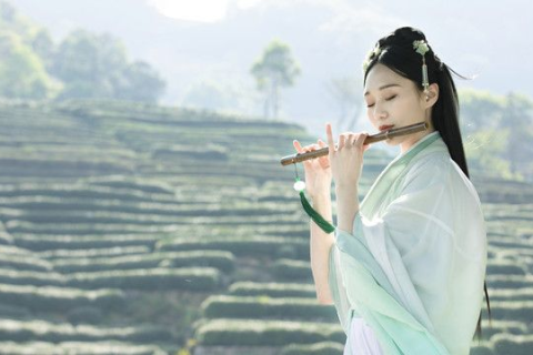 梦见笛子吹笛子，梦境中的音乐与心灵深处的对话