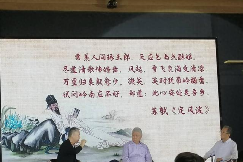 梦见已故的老人，心灵的慰藉与未来的启示