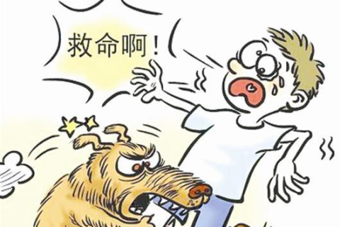 梦见被小狗咬但没咬住，梦境解析与心理暗示