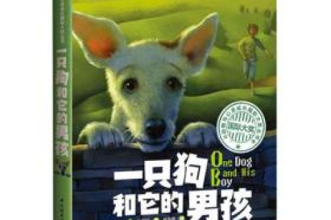 孕妇梦见小狗，寓意、解析与心灵启示