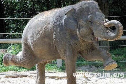 追逐梦境背后的深层含义，为何你总梦见被追赶却无力逃脱？