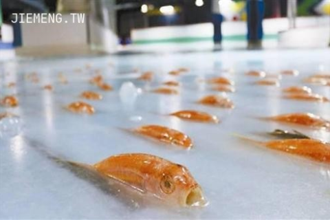 梦见鱼被冰在水里的梦境解析