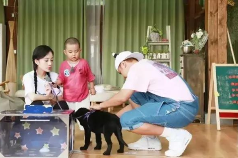 梦到被小狗咬出血，探索梦境背后的深层含义与心理启示