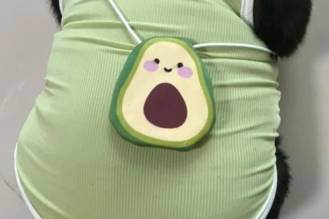 梦见妈妈穿红衣服，解读梦境中的情感与象征