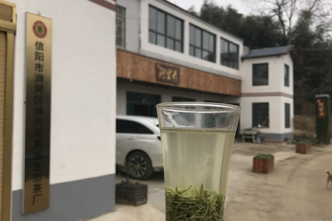 周公解梦大全查询，座在高山上的梦境解析