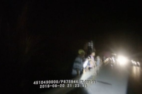 梦见一条蛇跳到我身上被父亲杀死了，解读梦境中的象征与情感