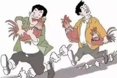 梦见小偷进家偷东西，梦境背后的深层寓意与心理解析
