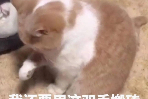 梦境的奥秘，别人梦见我死了又活过来，是吉是凶？