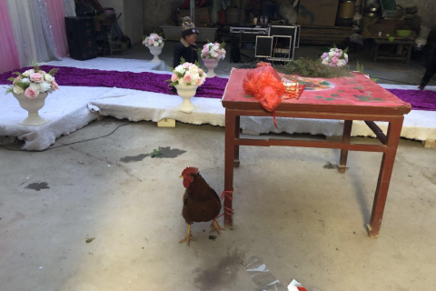 周公解梦，梦见自己抱着小孩与梦见别人生小孩的深层含义
